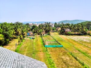 Balcony_Filed_View